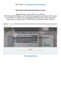 In-Page PDF with Password Protection